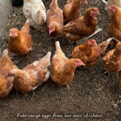 卵の向こう側にあるもの