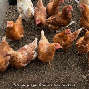 卵の向こう側にあるもの