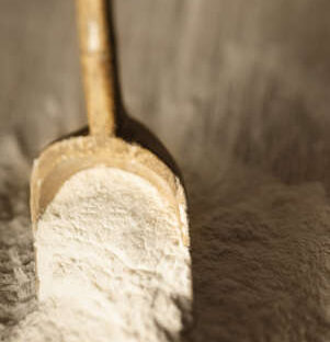 ケーキ作りで使っている小麦について 〜有機スペルト小麦を選んだ理由〜